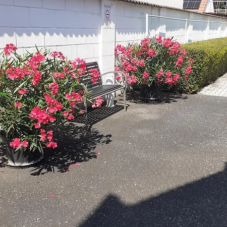 Casa de hóspedes Czinger Vendégszobák Mosonmagyaróvár